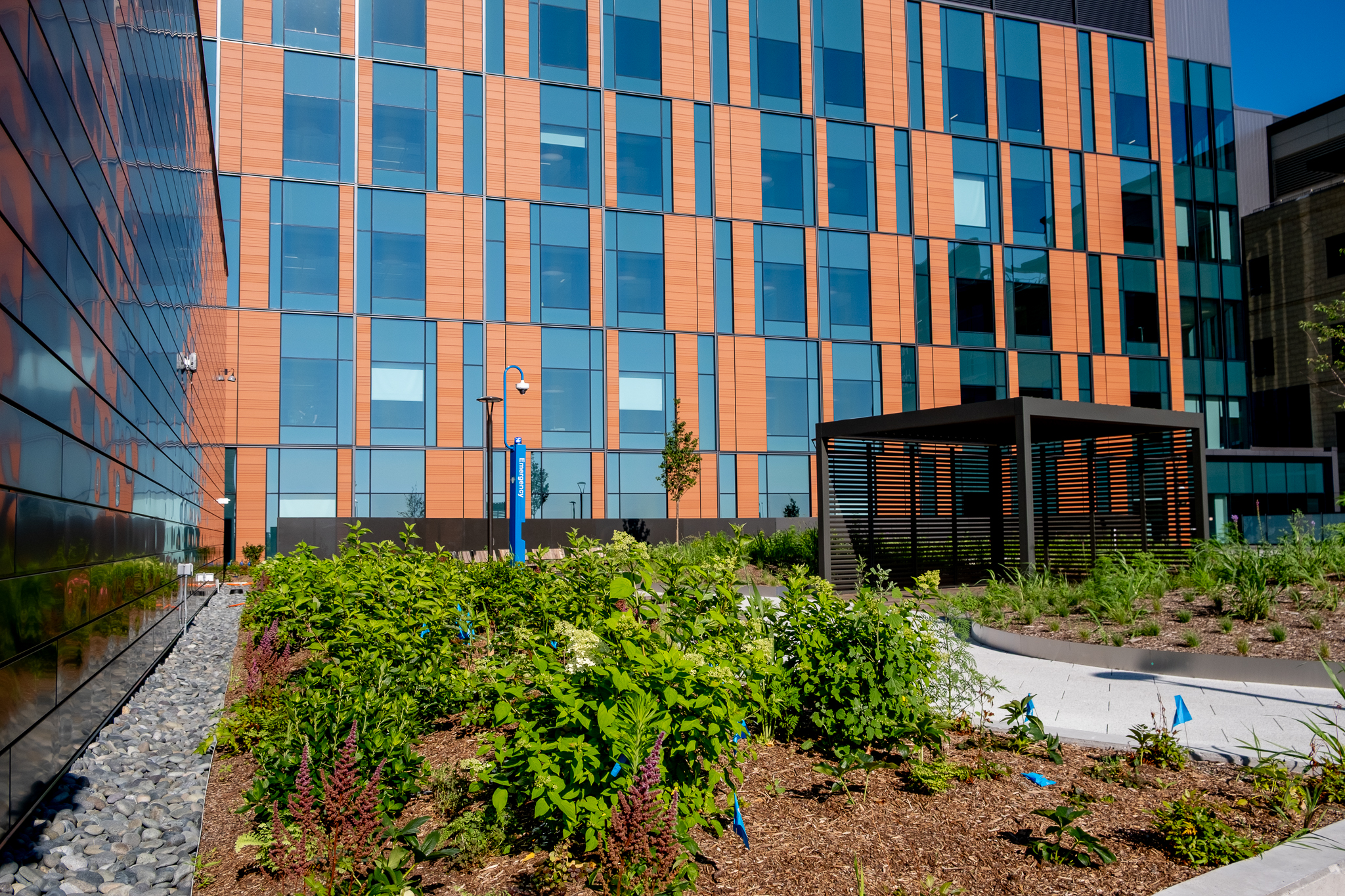 071426_ANW SCC-64_Green Space