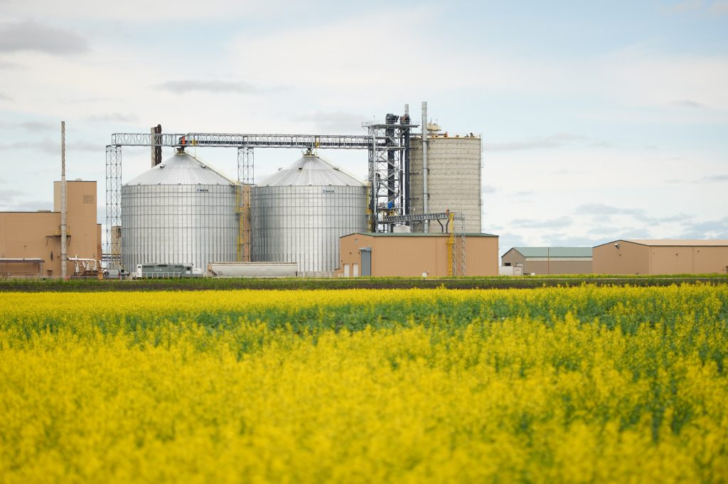 Lipids, Oils & Animal Feed Facility Design KFI Engineers