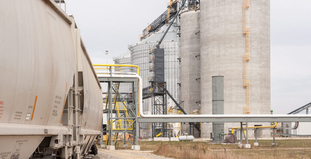 Claremont AL-Corn 102018-208